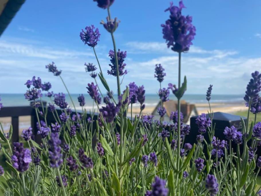 Sur La Plage / Enjoy The Beach Apartment Cabourg Exterior foto