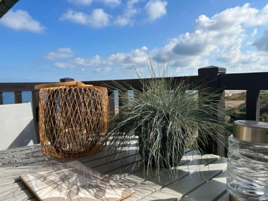 Sur La Plage / Enjoy The Beach Apartment Cabourg Exterior foto